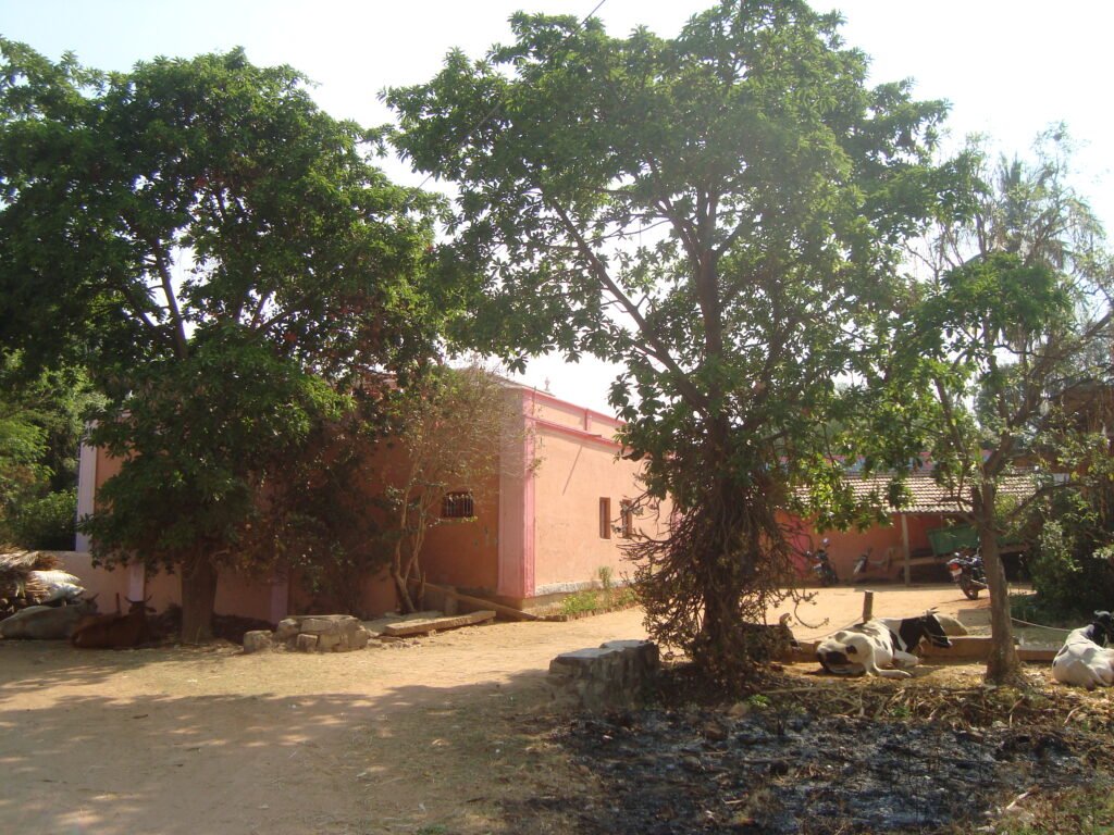 Shree Kallipurada Matha