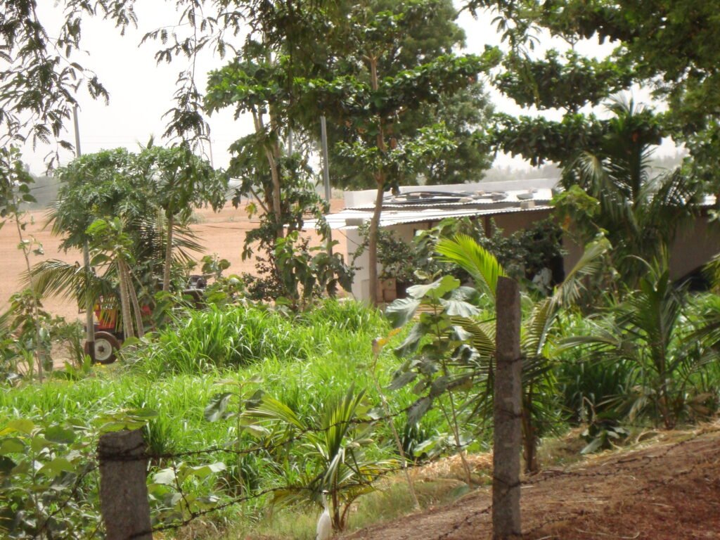 Shree Hirematha Abbigiri